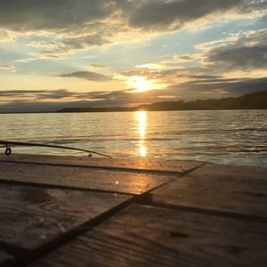 Meet your Posher, Dave